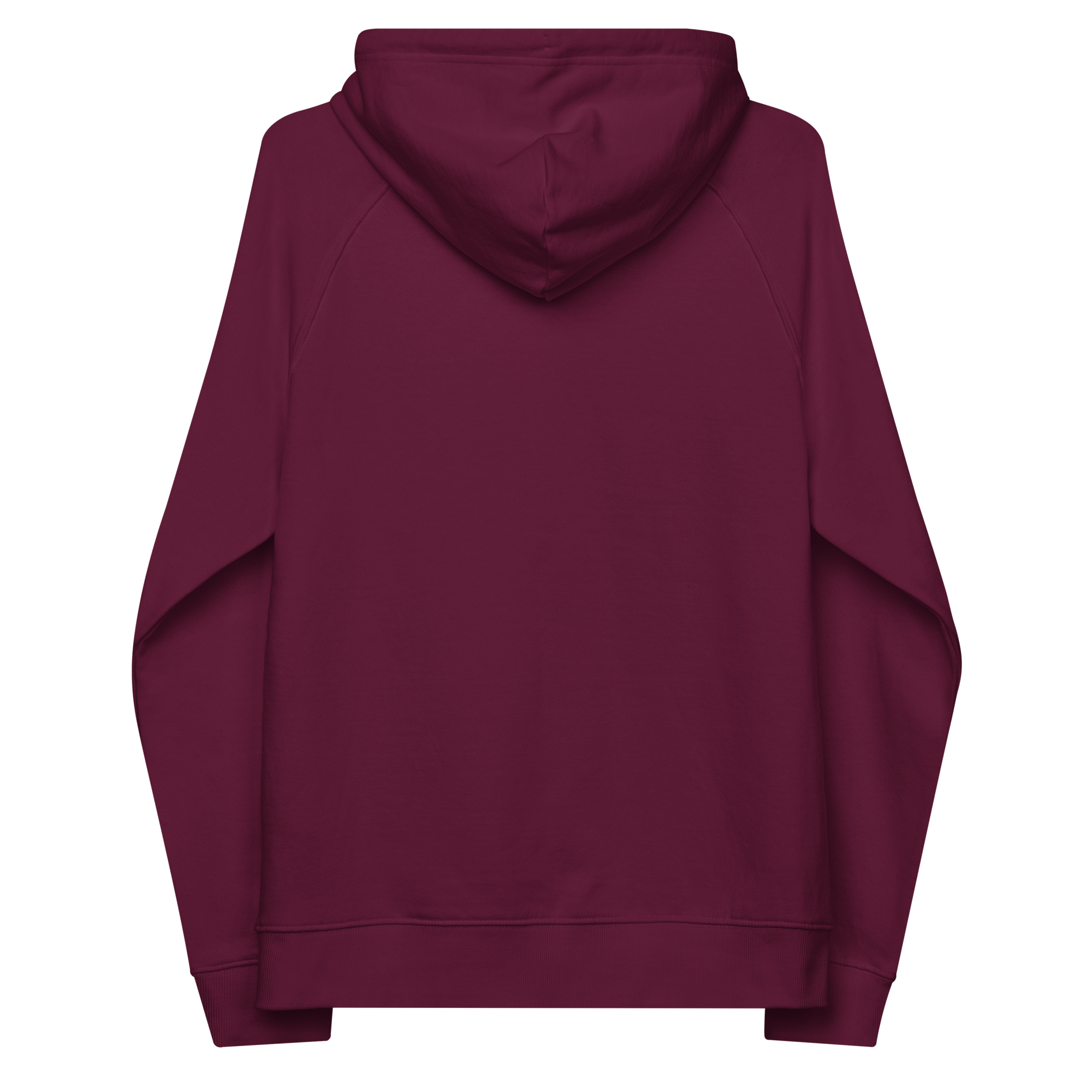 Christianity, Unisex Raglan Hoodie (Organic Cotton)